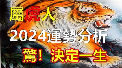 屬虎幸運色2023|【屬虎2023生肖運勢】財運步步高升，桃花運銳不可。